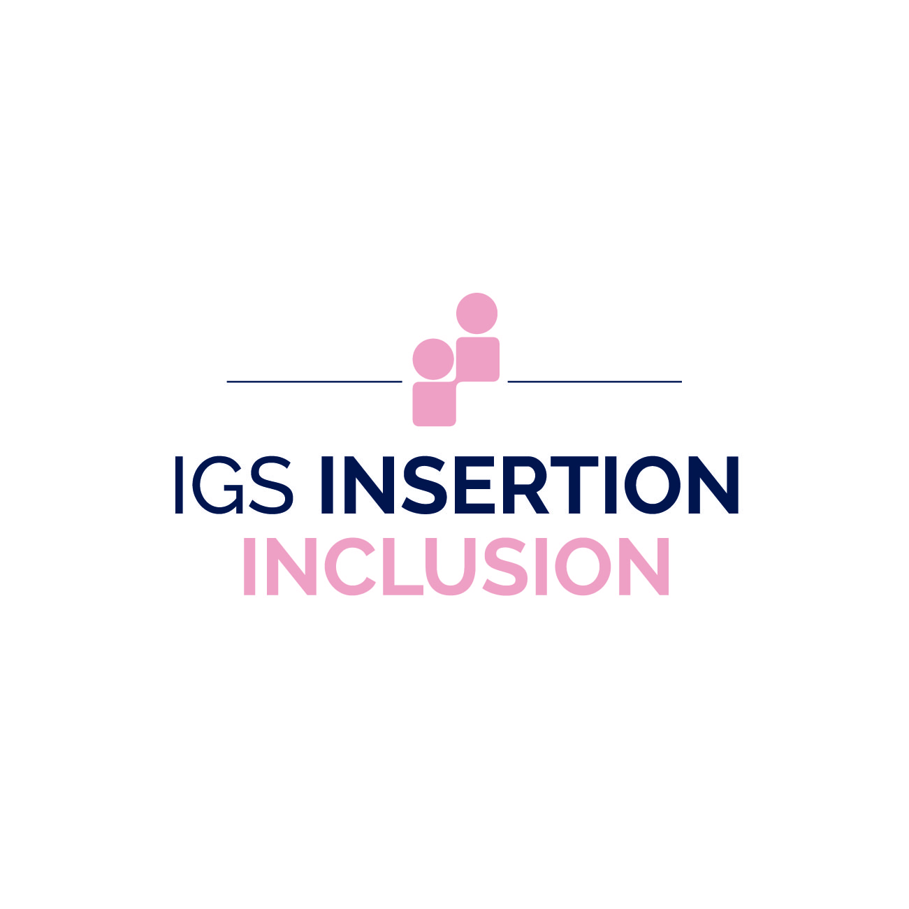 IGS INSERTION INCLUSION